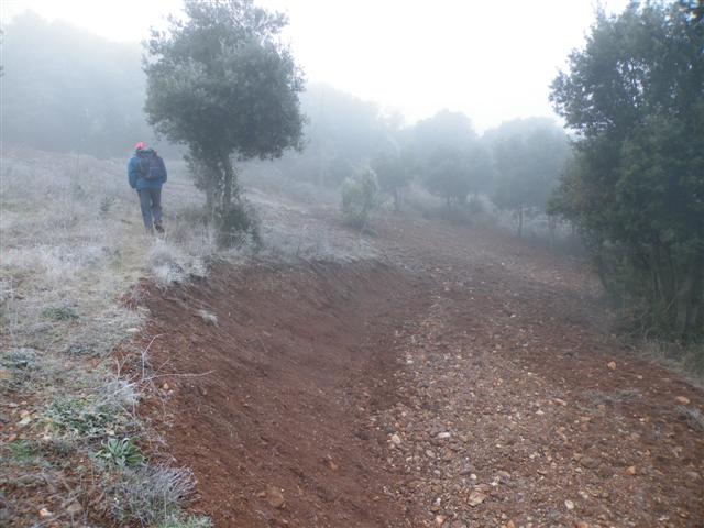 rasa de labocament urbanitzaci 3-1-11 5 small